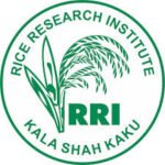 Rice Research Institute