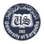University Of Sargodha